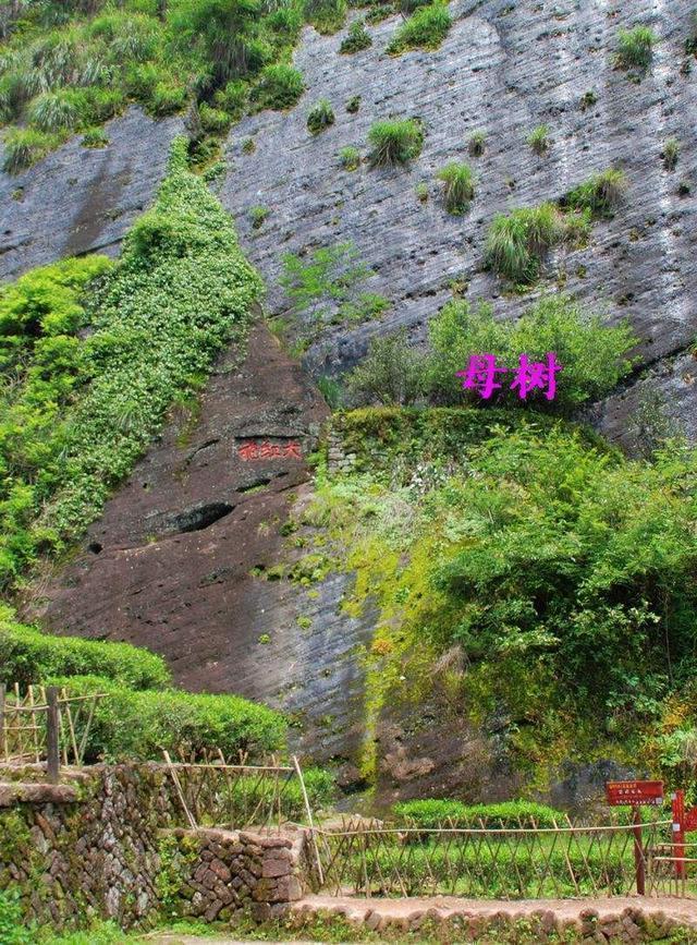 南岳哪里可以看欧洲杯直播:南岳哪里可以看欧洲杯直播的