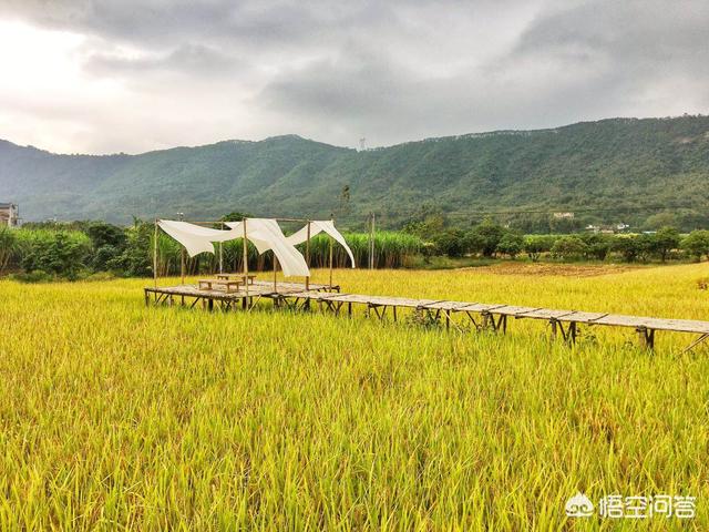 惠州欧洲杯直播:惠州欧洲杯直播平台