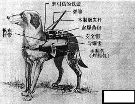 欧洲杯架子鼓比赛视频直播:欧洲杯架子鼓比赛视频直播回放