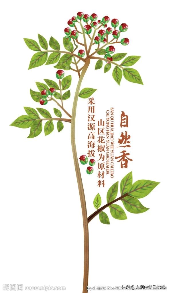 花椒直播能看欧洲杯吗:花椒直播能看欧洲杯吗