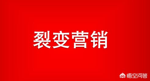 欧洲杯直播背后暗藏的云技术:欧洲杯独家直播平台