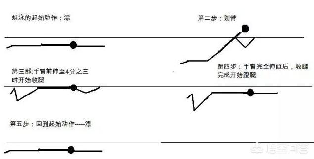 欧洲杯青蛙直播:欧洲杯直播企鹅直播