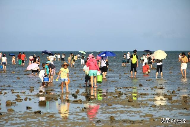 翔安去哪看欧洲杯直播比赛:翔安区足球区赛