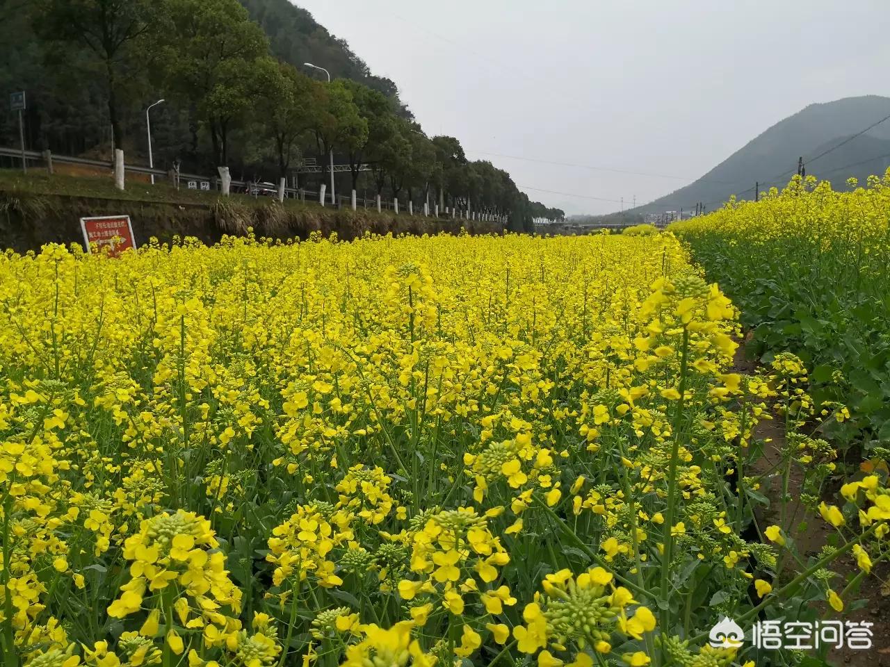 曲靖哪里可以看欧洲杯直播:曲靖哪里可以看欧洲杯直播的