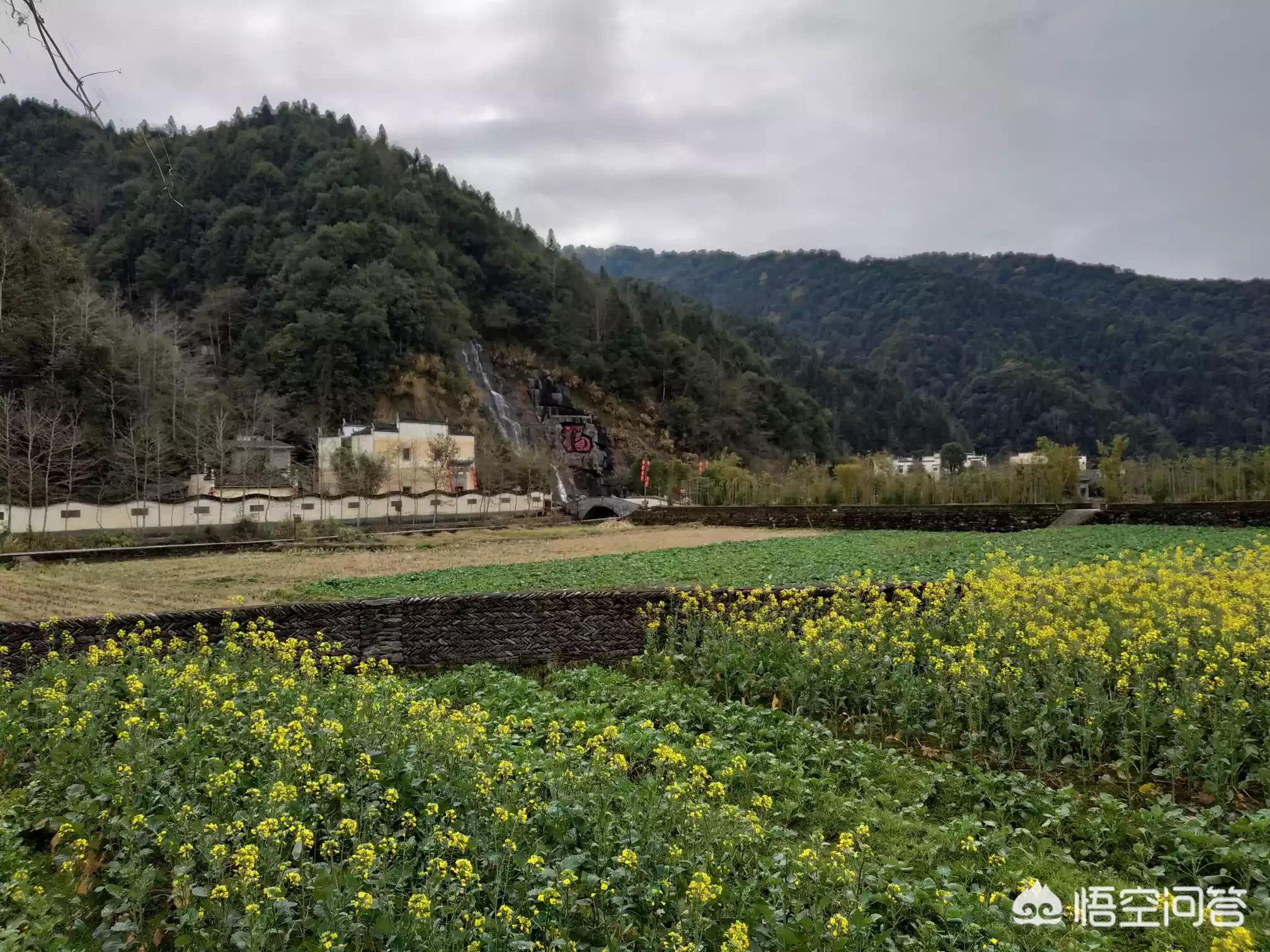 全景体育欧洲杯直播:全景体育欧洲杯直播在哪看