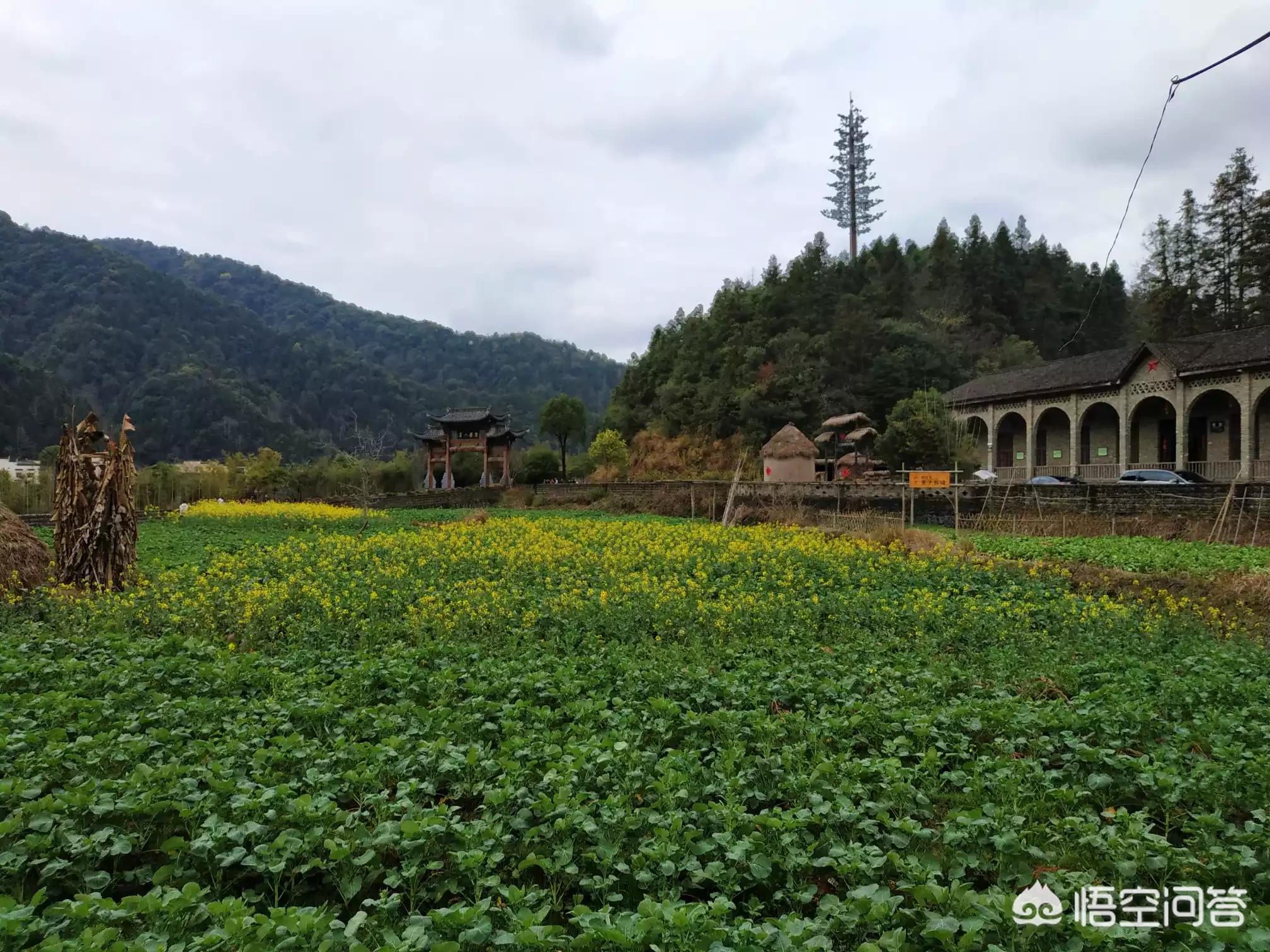 全景体育欧洲杯直播:全景体育欧洲杯直播在哪看