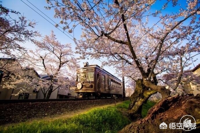 眉山哪里看欧洲杯直播:眉山哪里看欧洲杯直播的