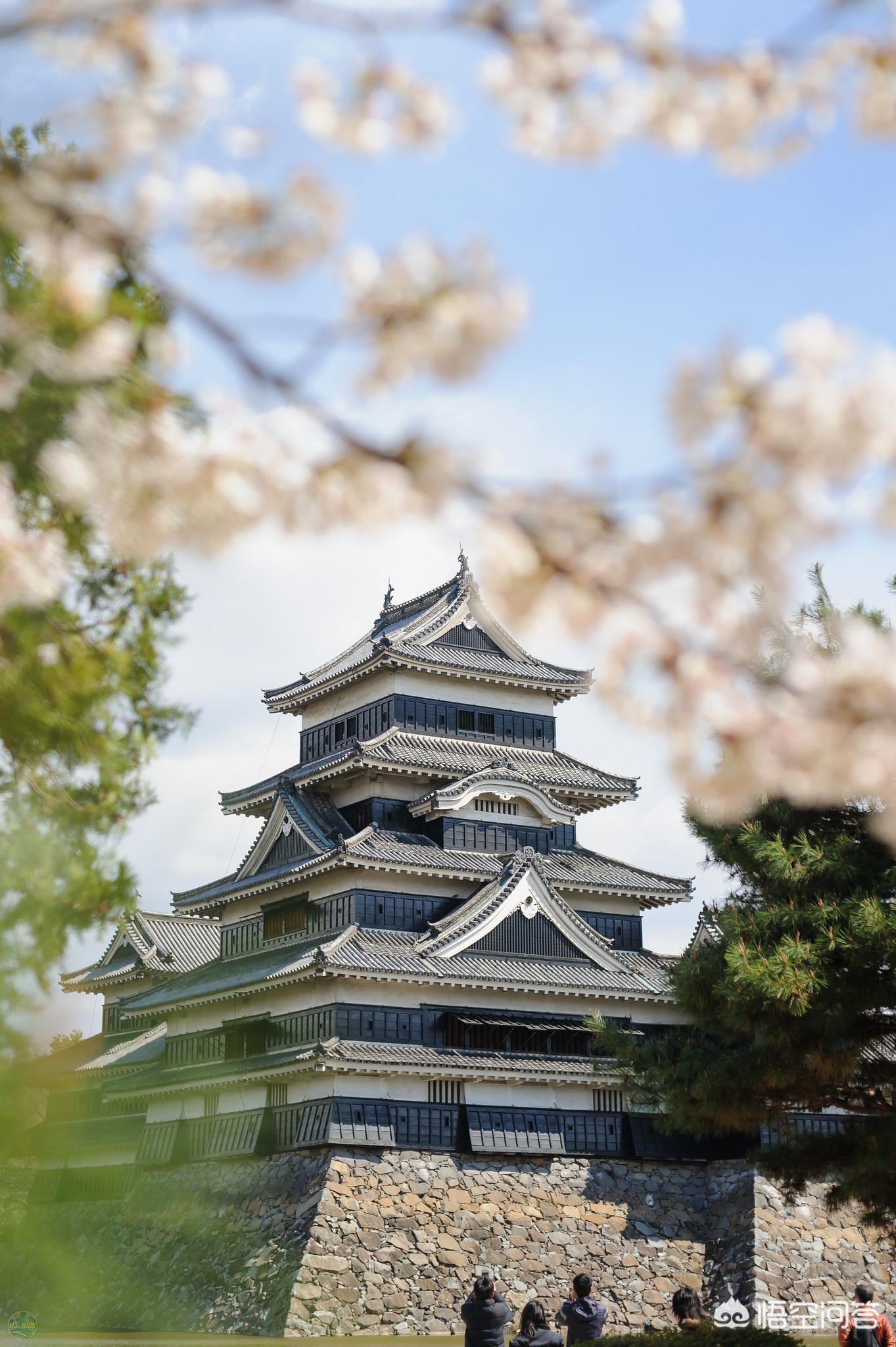 眉山哪里看欧洲杯直播:眉山哪里看欧洲杯直播的