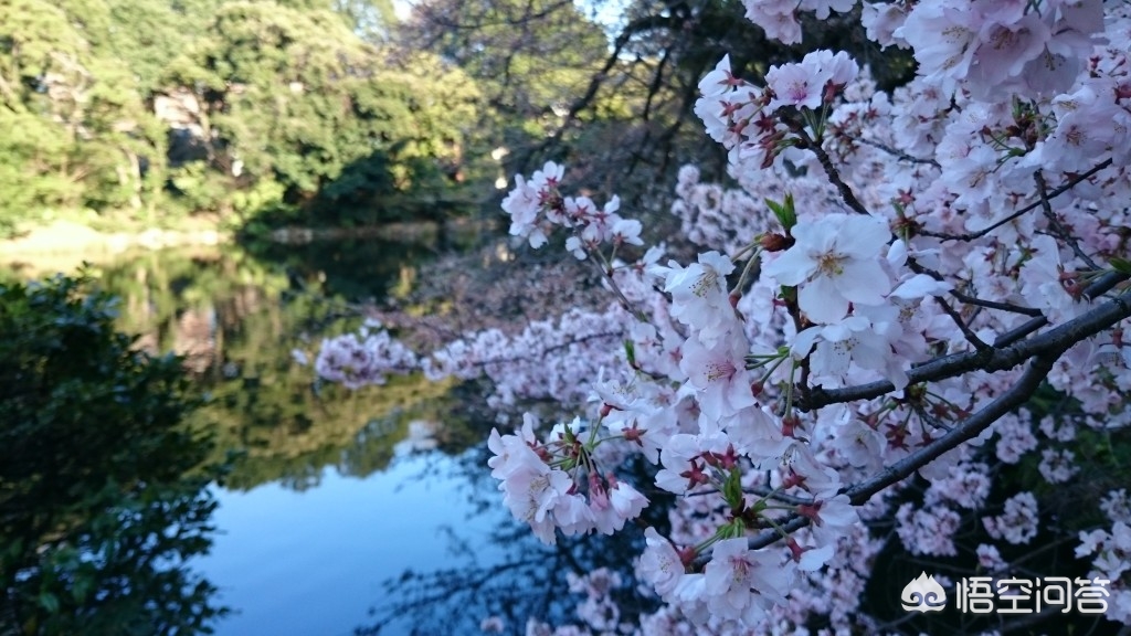 眉山哪里看欧洲杯直播:眉山哪里看欧洲杯直播的