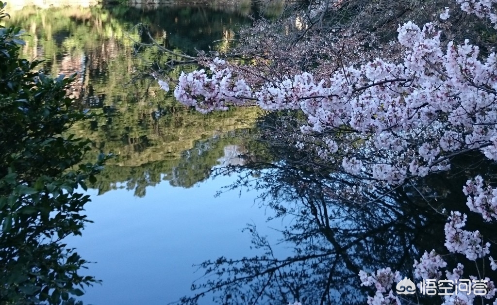 眉山哪里看欧洲杯直播:眉山哪里看欧洲杯直播的