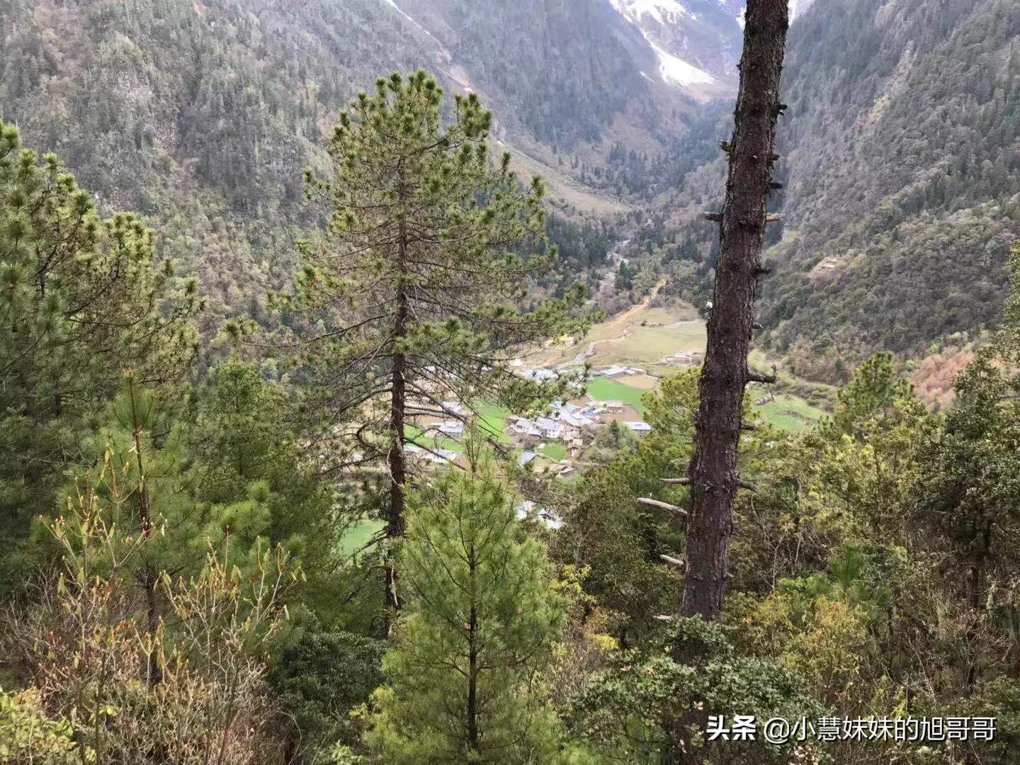 蒙自哪里可以看欧洲杯直播:蒙自哪里可以看欧洲杯直播啊