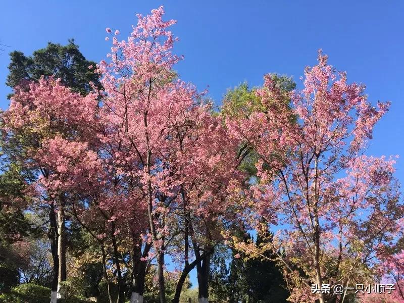 晋城哪里可以看欧洲杯直播:晋城哪里可以看欧洲杯直播的