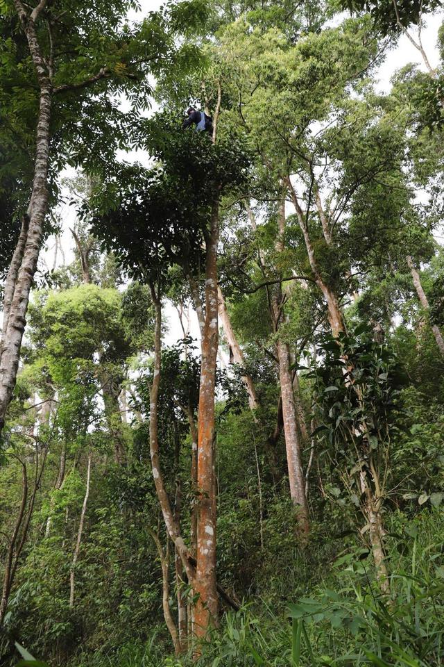 欧洲杯冰岛直播视频下载:欧洲杯赛程冰岛