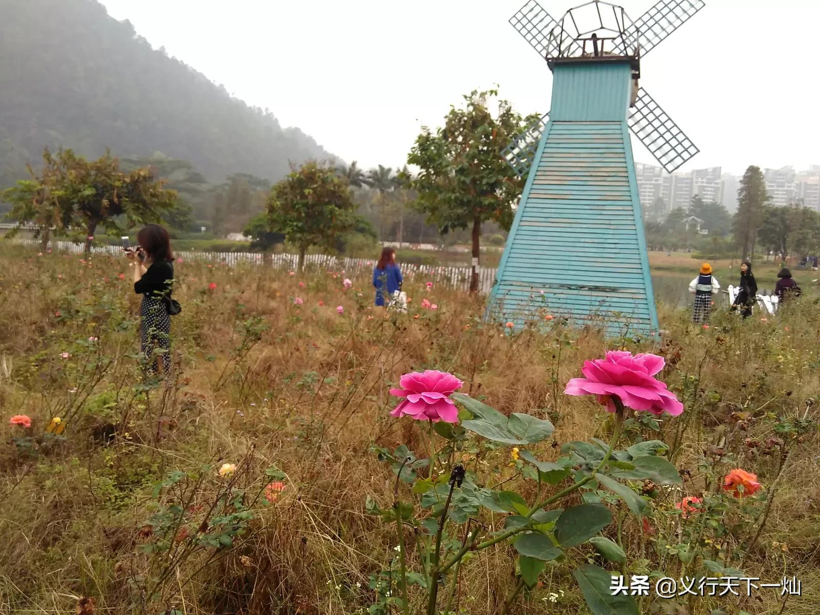 喀麦隆欧洲杯视频直播:喀麦隆欧洲杯视频直播在线观看